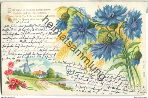 Kornblumen - gel. 1904