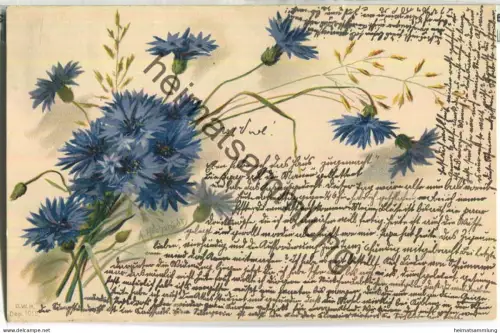 Kornblumen - signiert A. Höchstädt - gel. 1904