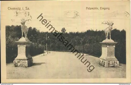 Chemnitz - Eingang Pelzmühle - Verlag Fabian & Co. Breslau gel. 1918