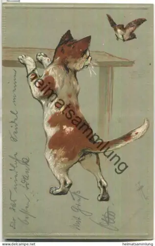 Katze - Vogel - signiert AH Heyer - Prägedruck - Verlag E.S.D. Serie 841 - gel. 1903