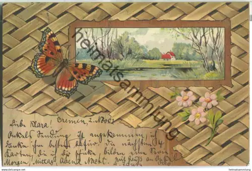 Schmetterling - Landschaft - gel. 1902
