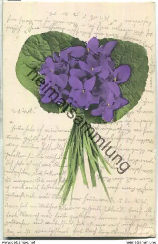 Veilchenstrauss - gel. 1905