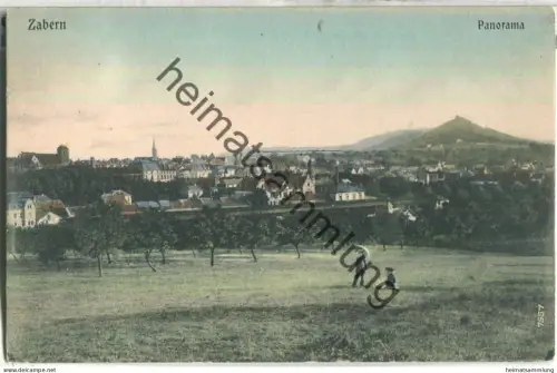 Saverne - Zabern - Panorama - ohne Verlagsangaben - gel. 1913