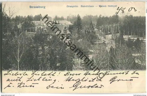 Strassburg - Orangerie - Bauernhaus - Kunstverlag Fischer Strassburg - gel. 1903