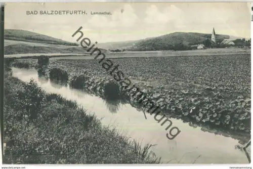 Bad Salzdetfurth - Lammethal - Verlag Erich Deipenau Salzdetfurth - gel. 1909