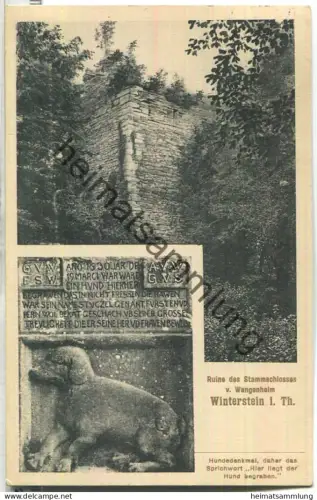 Winterstein (Waltershausen) - Ruine des Stammschlosses von Wangenheim - Hundedenkmal - Verlag H. Weets Waltershausen
