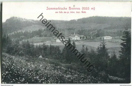 Brennes - Bayrisch Eisenstein - Verlag Löffler & Co. Greiz 1909