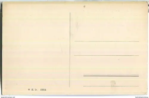 Zwiesel mit Falkenstein ca. 1910