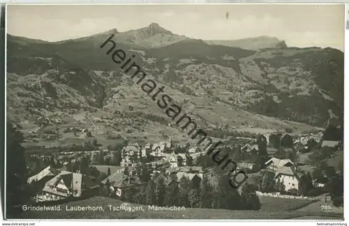 Grindelwald - Lauberhorn - Tschuggen - Männlichen - Foto-Ansichtskarte - Verlag Frobenius AG Basel