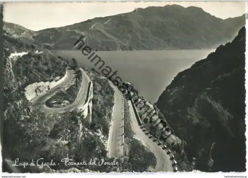 Lago di Garda - Tornanti del Ponale - Foto-Ansichtskarte - Ediz. F. Micheletti Brescia