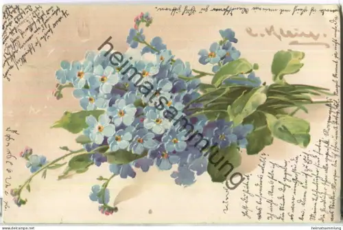 Catharina Klein - Vergissmeinnicht N°. 12650 - gel. 1905