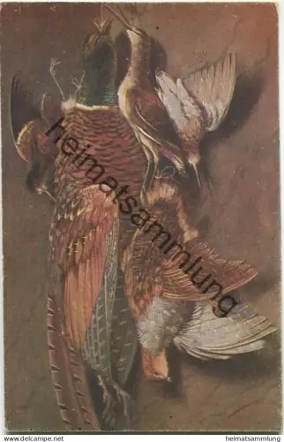 Wild - Geflügel ca. 1915