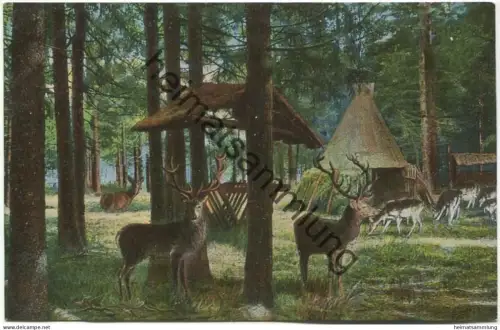 Rotwild - Verlag Carl Jagemann Eisenach ca. 1915