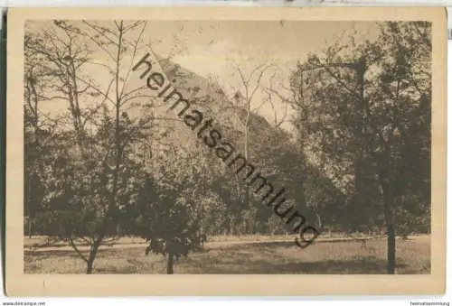 Zerbst - Francisceum - Promenadenseite