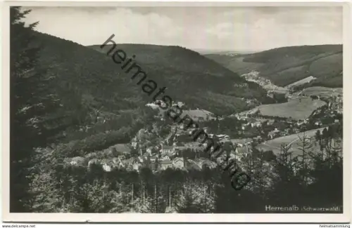 Herrenalb - Foto-AK - Verlag Schöning & Co. Lübeck