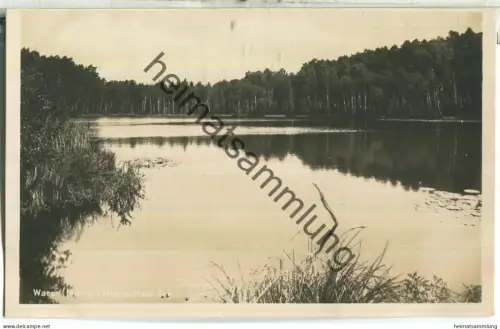 Waren - Wienpietsch See - Foto-Ansichtskarte - Verlag J. Goldiner Berlin 20er Jahre