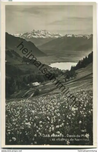 Les Avants - Dents du Midi et champs de Narcises - Foto-Ansichtskarte - Edit. O. Sartori Geneve