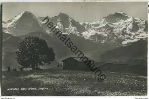 Interlaken - Eiger Mönch Jungfrau - Foto-Ansichtskarte - Verlag J. Stump & Cie. Interlaken
