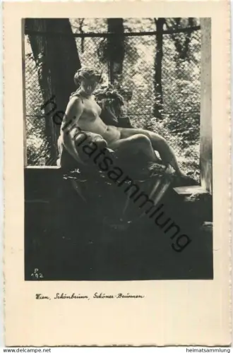 Wien - Schönbrunn - Schöner Brunnen - Foto-AK
