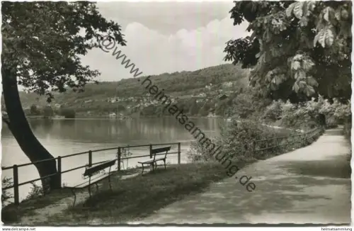 Waldshut - Rheinpromenade - Foto-AK - Verlag Gebr. Metz Tübingen