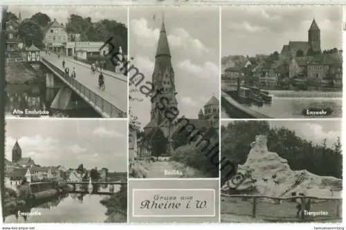 Rheine - Emspartie - Basilika - Tiergarten - Rückseite beschrieben 1955