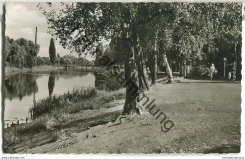 Herford - Partie an der Werre - Foto-Ansichtskarte - Cramers Kunstanstalt Dortmund 1960