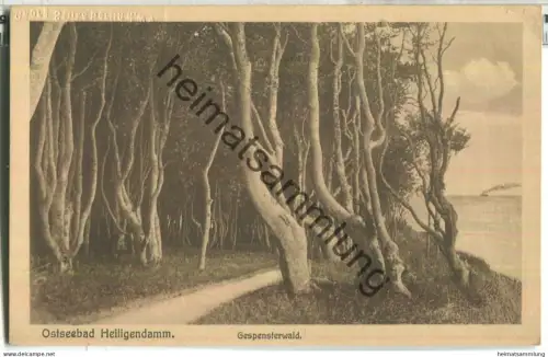 Heiligendamm - Gespensterwald - Verlag A. Bockmann Doberan