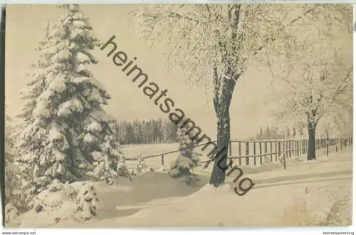 Braunlage - Raureif bei Königskrug - Foto-Ansichtskarte