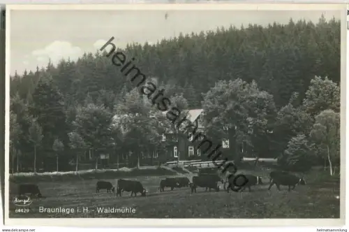 Braunlage - Waldmühle - Foto-Ansichtskarte - Verlag Curt Voigt Braunlage 30er Jahre