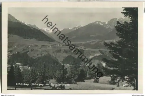 Schönberg gegen die Stubaier Alpen - Foto-Ansichtskarte - Verlag Chizzali Innsbruck 30er Jahre