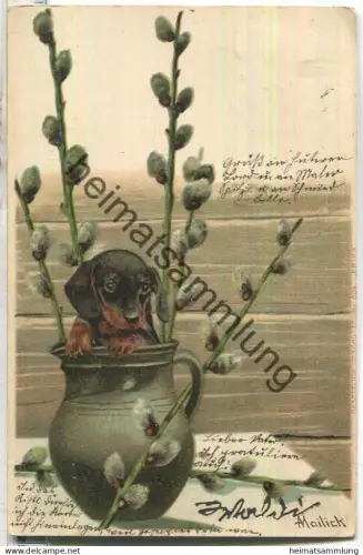 kleiner Dackel in der Blumenvase - signiert Mailick - gel. 1902