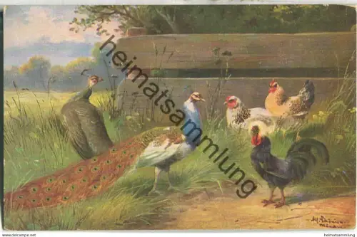 Pfauen - Hühner - signiert Alf Schönian München - gel. 1913