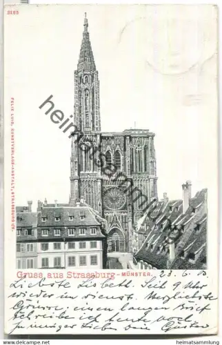 Strassburg - Münster - Verlag Felix Luib Strassburg - gel. 1903