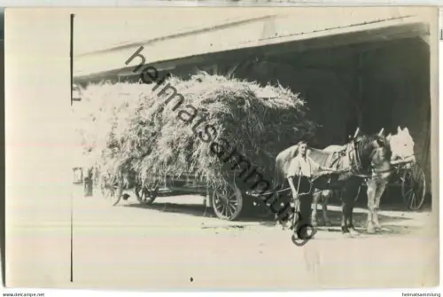 Ingolstadt - Oberhaunstadt - Ernte - Kathan mit Pferdefuhrwerk auf der Waage - Foto-Ansichtskarte 1927