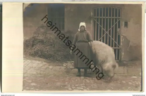 Ingolstadt - Oberhaunstadt - Eber - Foto-Ansichtskarte 1927