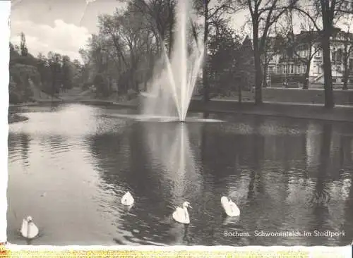 bochum, schwanenteich im stadtpark (Nr. 6450)