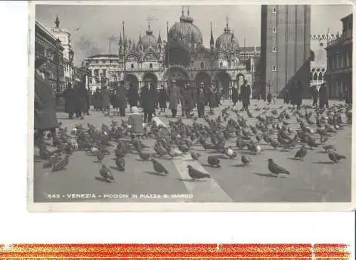 venezia, piccioni in piazza s. marco, tauben, 1968 (Nr. 6456)