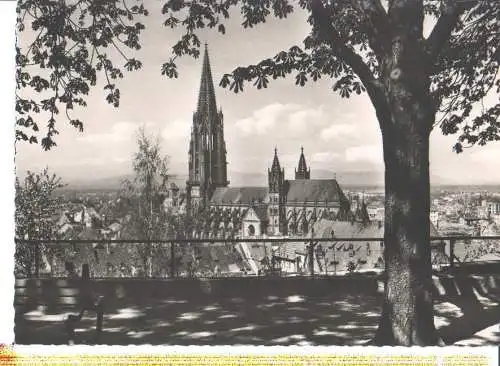 freiburg/schwarzwald, blick v. schloßberg a.d. münster (Nr. 6753)