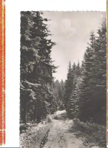 königsfeld/schwarzwald, neuhauser weg, 1961 (Nr. 6807)