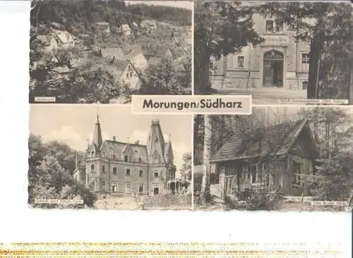 morungen/südharz, 1953 (Nr. 6852)
