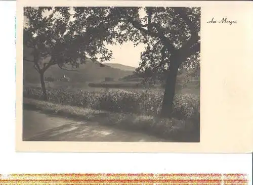 am morgen, hoheneich 1947 (Nr. 6871)