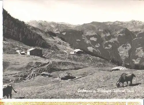 gerlosstein m. rastkogel, zillertal (Nr. 7067)