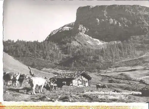 gerlossteinalm m. gerlossteinwand (Nr. 7086)