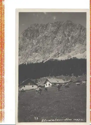 ehrwalder alm, 1929 (Nr. 7194)