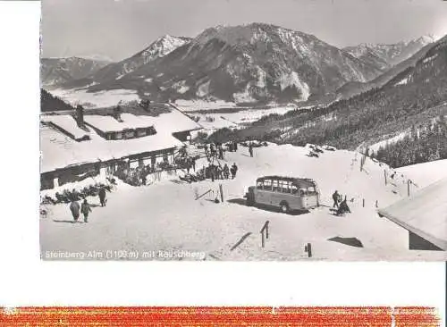 steinberg-alm m. rauschberg im winter (Nr. 7327)