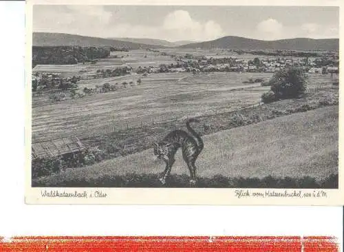 waldkatzenbach im odenwald (Nr. 7410)