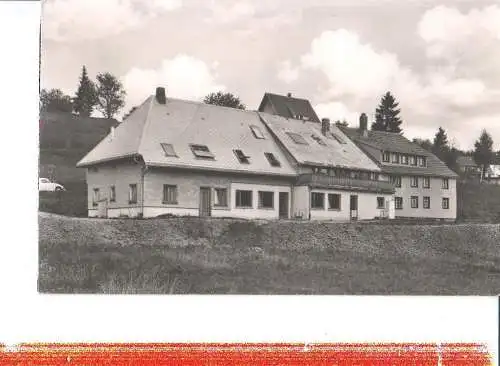 hochtalhof, falkau, schwarzwald, 1966 (Nr. 7411)