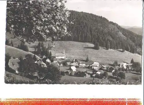 muggenbrunn, schwarzwald (Nr. 7416)