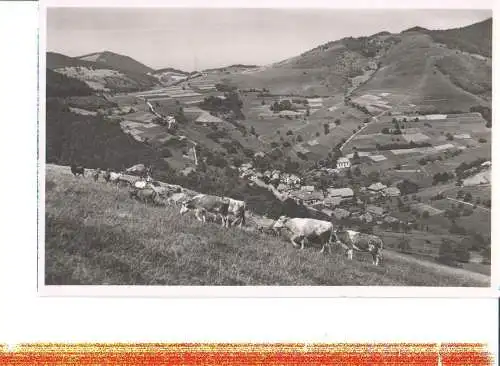 neuenweg, schwarzwald, 1954 (Nr. 7691)