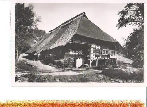 bauernhaus im schwarzwald (Nr. 7744)